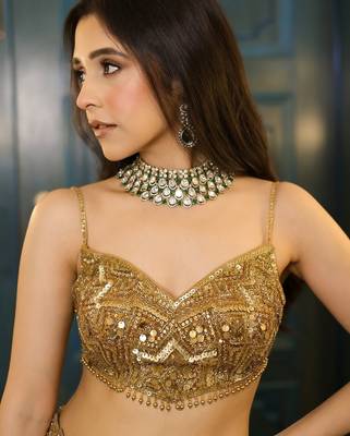 champagne net embroidered lehenga choli 3