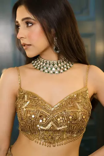 champagne net embroidered lehenga choli