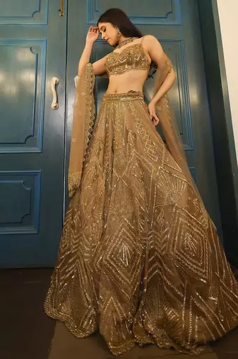 champagne net embroidered lehenga choli