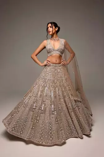 golden net embroidered lehenga choli