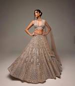 golden net embroidered lehenga choli