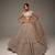 golden net embroidered lehenga choli