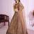 brown net embroidered lehenga choli