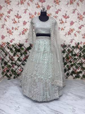 sea green net embroidered lehenga choli 2