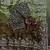 olive green-brown shaded in sequin embroidery chiffon saree 