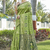 Mahendi woven jacquard  art  banarasi silk  saree with blouse piece.