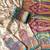 cream-rama printed pasmina print with dori fitting silk jaqurad saree