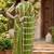 mehendi green chanderi cotton shibori striped printed ready to wear saree