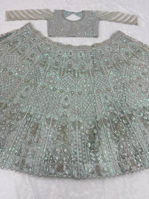 Mint Green Butterfly Soft Net Lehenga Choli  2