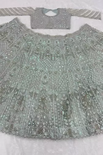 Mint Green Butterfly Soft Net Lehenga Choli 