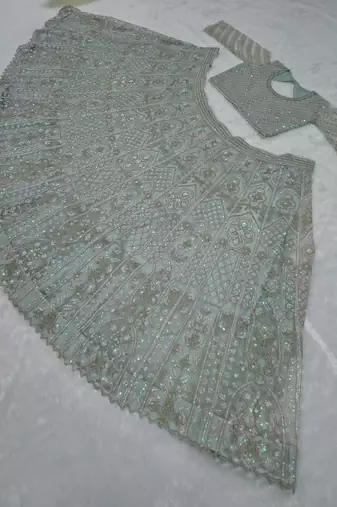 Mint Green Butterfly Soft Net Lehenga Choli 