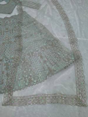 Mint Green Butterfly Soft Net Lehenga Choli  4