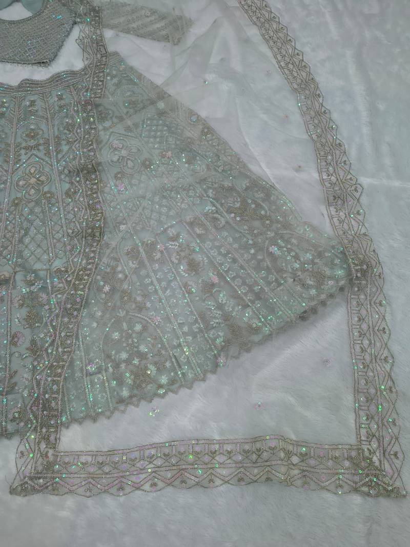 Mint Green Butterfly Soft Net Lehenga Choli 