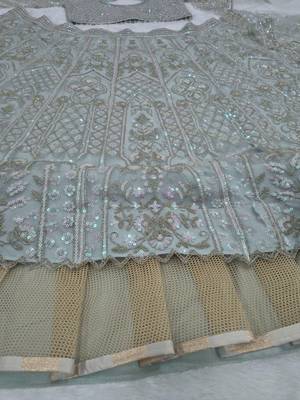 Mint Green Butterfly Soft Net Lehenga Choli  5