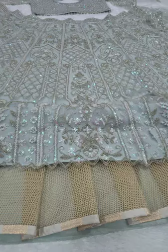 Mint Green Butterfly Soft Net Lehenga Choli 