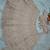 Premium Faux Georgette Lehenga with Exquisite Embroidery
