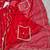 Red Designer Lehenga - Heavy Embroidery for Festive Wear For Women's