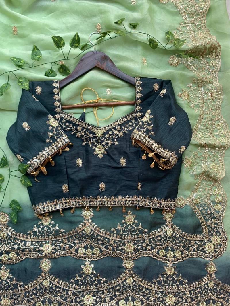 Light Green Color embroidery sequence Work Silk Blend Saree