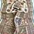 Off White Color Pashmina Print With Cover Piping Fitting Silk  Saree