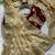Cream Color embroidery And  sequence Work Satin Saree