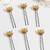 Set of 6 gold plated moon shape u pin head jewellery