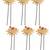 Set of 6 gold plated peacock design u pin head jewellery