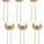 Set of 6 gold plated chandra u pin head jewellery