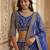 BLUE COLOUR Sequins & Cording Embroidered Butterfly Net Lehenga Choli Set