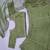 Green sequin wedding Lehenga choli with dupatta