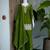 Green silk embroidered kurta with palazzo and dupatta set
