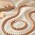  Traditional Pearl Necklace Set for Wo      Festive & Party Wear Indian Jewelry