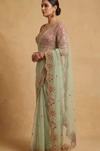 Light green embroidered net designer saree with designer rani pink blouse fabric