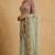 Light green embroidered net designer saree with designer rani pink blouse fabric