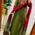 Floral embroidered pure cotton v neck kurta trouser & dupatta set