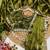 Olive colour soft burberry silk mirror work saree with blouse