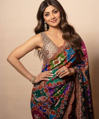 Multi colour patola print georgette saree with swarovski work 2