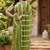 green printed chanderi cotton ready to wear saree with unstitched blouse