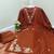 Women Rust Embroidered Kurta Set with Dupatta 