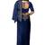 Navy blue embroideres organza silk saree