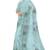 Mint blue tree motif organza silk designer saree