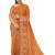 Pastel sage green embroidered saree