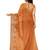 Pastel sage green embroidered saree
