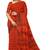 Red traditional floral printed saree