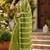 mehendi chanderi cotton printed ready to wear saree with unstitched blouse piece