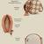   petal posh caramel brown embellished cotton canvas sling bag