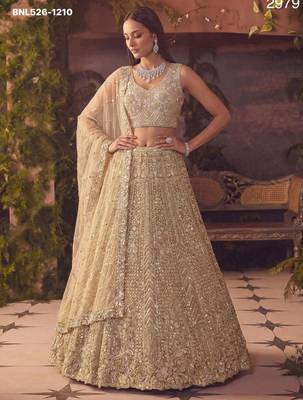 beige net embroidered lehenga set 3