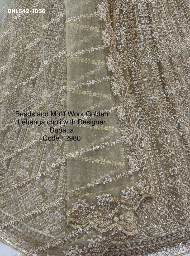 beige net embroidered Lehenga set