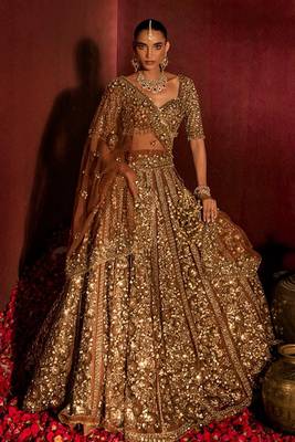 Brown Premium Soft Butterfly Net Lehenga Choli with Heavy Sequins Work For Women's 1
