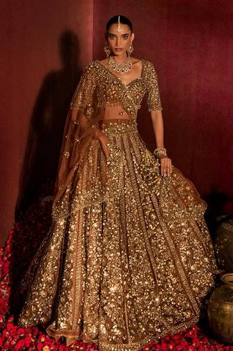 Brown Premium Soft Butterfly Net Lehenga Choli with Heavy Sequins Work For Women's
