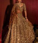 Brown Premium Soft Butterfly Net Lehenga Choli with Heavy Sequins Work For Women's